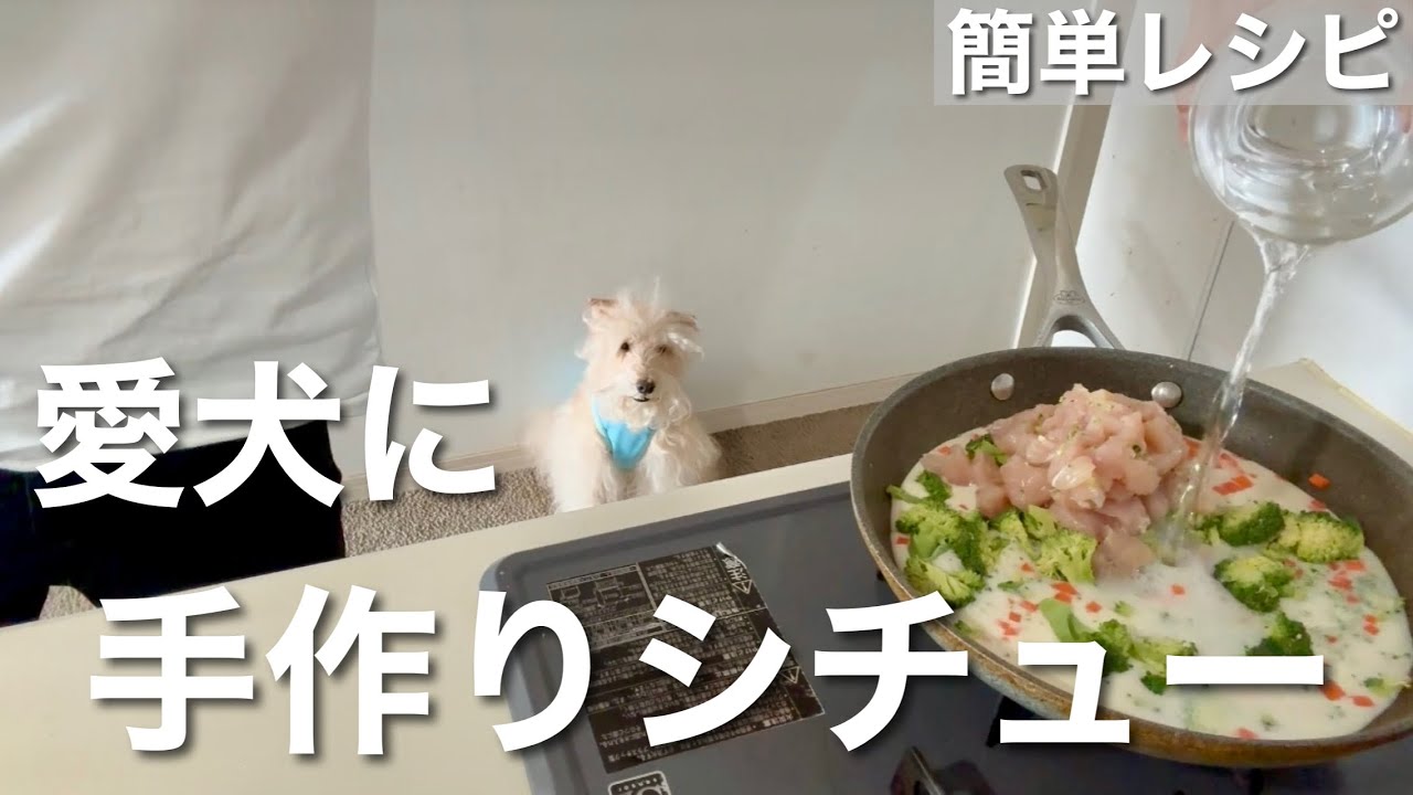 【期待できる効能】皮膚・被毛が気になる愛犬の為のシチュー！超簡単レシピ。