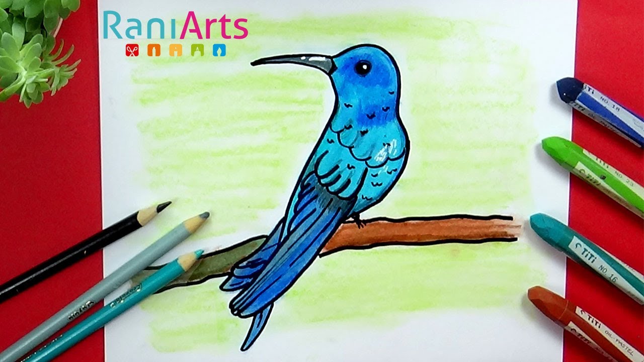 Cómo dibujar un COLIBRÍ Paso a paso YouTube
