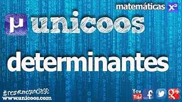 Propiedades de los Determinantes 02 BACHILLERATO matematicas