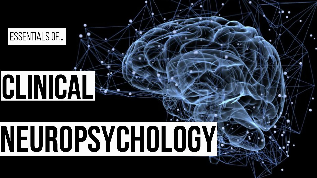 phd in neuropsychology usa