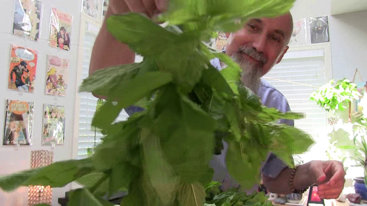 Hanging Mint to Dry -- ASMR -- Leaves Crumbling/Rustling Sound, How to, Soft-Spoken, Male