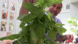 Hanging Mint to Dry -- ASMR -- Leaves Crumbling/Rustling Sound, How to, Soft-Spoken, Male