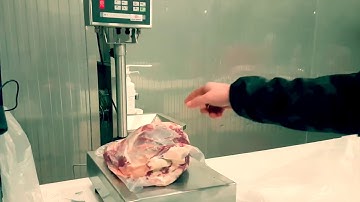 Meatsy Professional Meat Processing Factory Floor Management Software