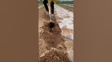 Cuốc vun ngô 🌽 đậu lạc. #0965524005