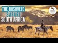 The bushveld safari south africa  horse riding holidays  globetrotting