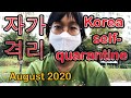 Korea Airbnb Self-Quarantine Experience - August 2020 (from America)