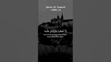 اكتب شيء تؤجر عليه 😊❤️#ياسر_الدوسري #آية_الكرسي #سورة_البقرة