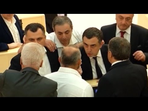 ჩვენი პარლამენტი - ხმაური პარლამენტში; საკონსტიტუციო ცვლილებების პროექტი