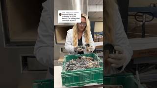 After cremation we pick out the metals #cremation #recycle #mortician