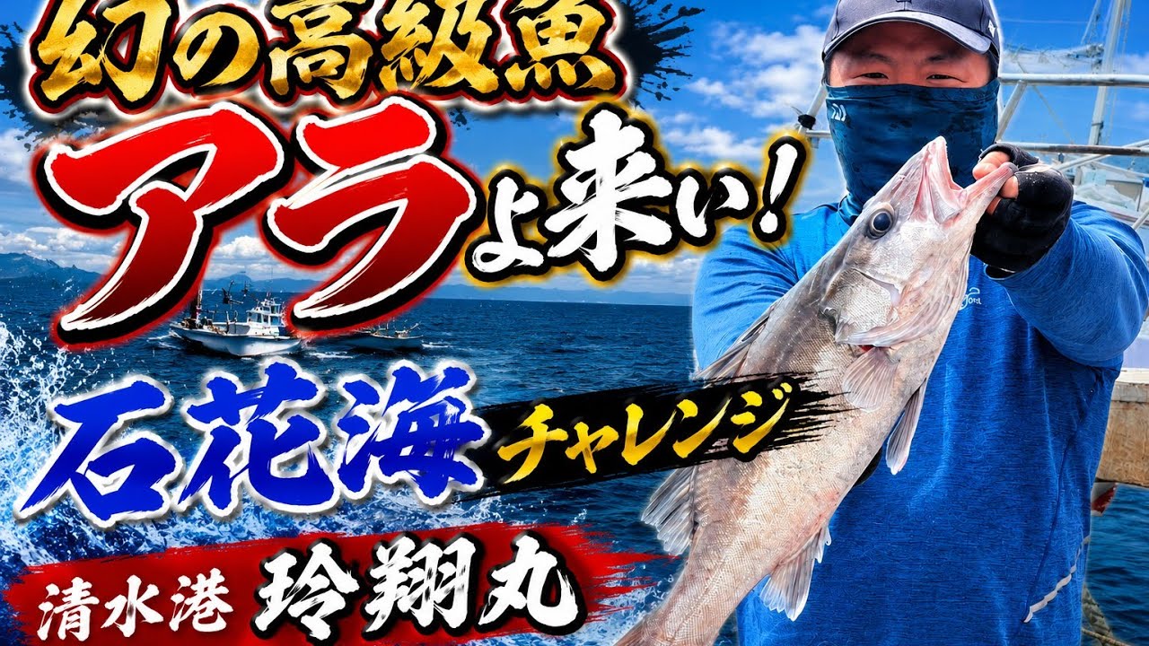 しいらぎ 賢斉 沼津海老 Shimizu Port, Reishomaru] Bring on the elusive high-end fish, Ara