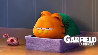 GARFIELD. Vive una emocionante y divertida aventura. Exclusivamente en cines.