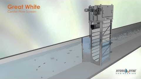 Great White Center Flow Screen Animation