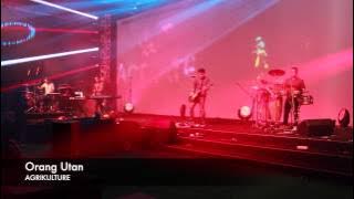 Orang Utan - Agrikulture at A Create Event 2013[HD]