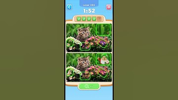 Can you spot IT game level 203