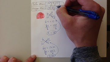 Ratios, Tables, and Graphs (7.1 - 6th)