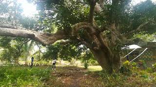 A Day Tripping With My Family Vlog