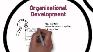 Capacity Development in the CGIAR's Livestock and Fish program