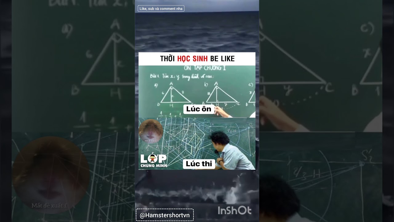 #memes #shorts 🐧💀