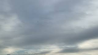 IMG 4657