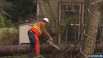 Storm brings power outages, standing water, downed trees