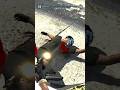Dropping body bagz in the hood ! #gta #gtahoodrp #gtarp #fivem