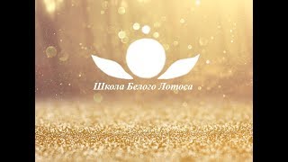 Об инсектах. Работа с экраном разума (нейронная сеть мозга).