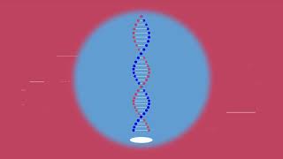 Design Automator's Client DNA