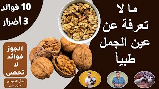 فوائد واضرار عين الجمل - فوائد الجوز | عين الجمل فوائد لا تحصى