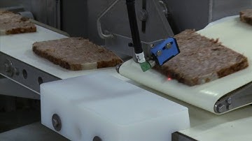 SEALPAC RE25 for sliced hams and pates Domaine Picard, France