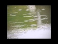 松山千春カバー 「雨の歌」