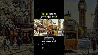 봄 꽃 가득한, 런던 거리 낭만 | Spring Daisy Soft Pop | #감성음악 #배경음악