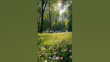 سوره الكهف الآيه 37 القارئ احمد نعينع