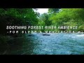 Soothing Forest River Ambience for Sleep &amp; Meditation