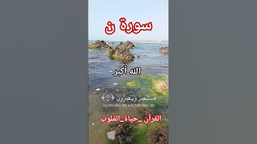 سورة ن #اكسبلور #القزابري #دويتو #المصحف #لايك #الرحمن #السعودية #تيك_توك #اعتني #راحة_نفسية