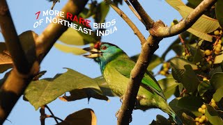 Hidden Gems: A Day in Nameri's Wilderness screenshot 4