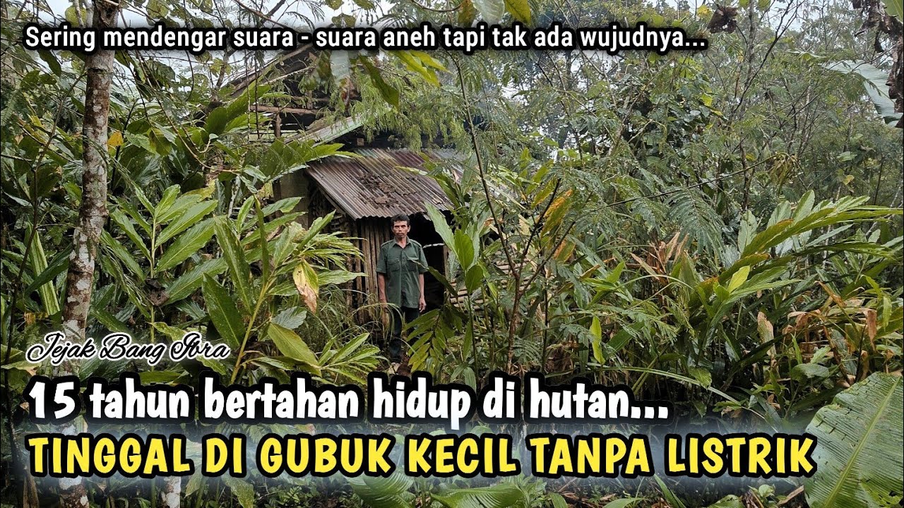 15 TAHUN BERTAHAN HIDUP SENDIRIAN DI TENGAH HUTAN DI SEBUAH GUBUK KECIL TANPA LISTRIK...