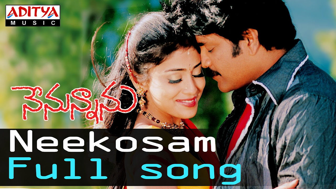 Neekosam Full Song ll Nenunnanu Songs ll Nagarjuna Shreya Aarthi Agarwal