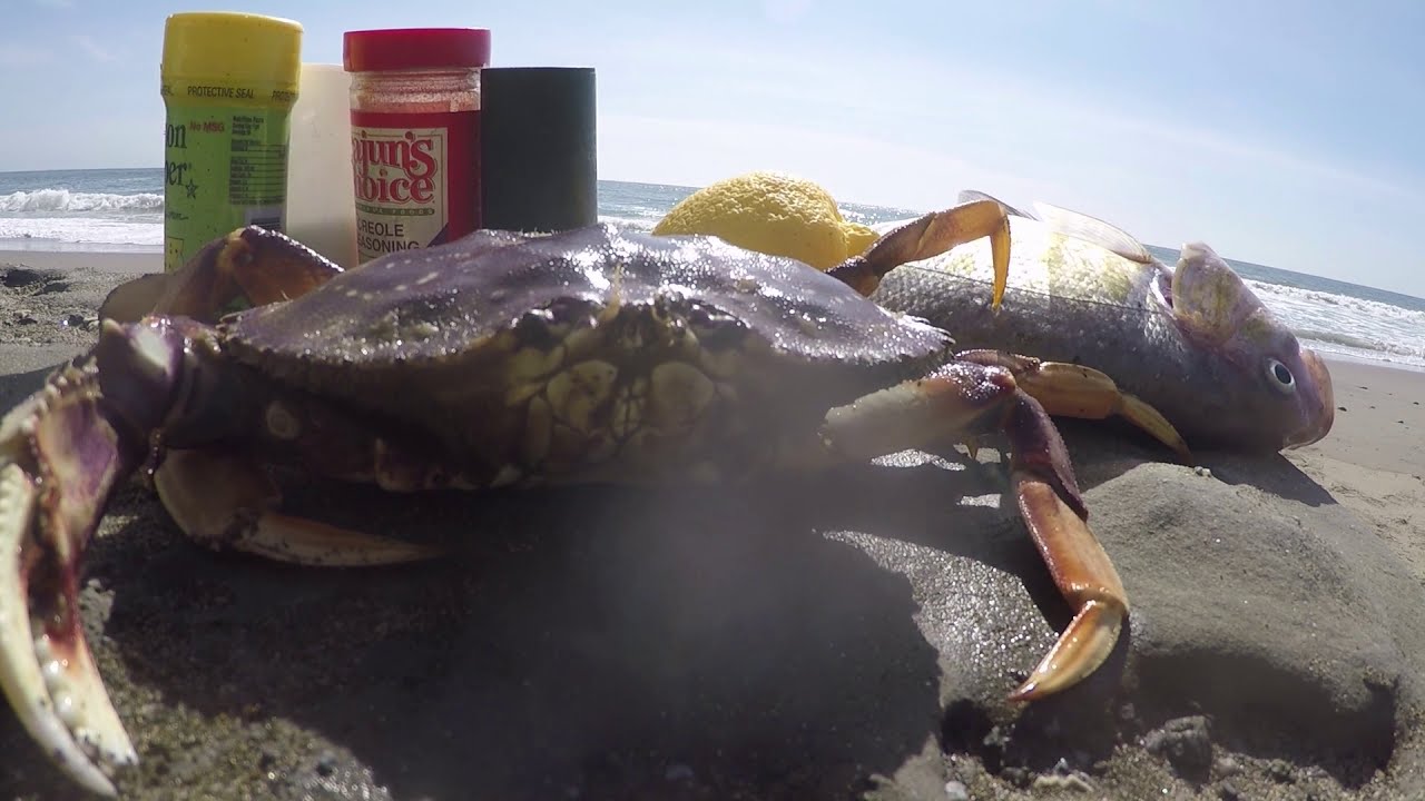 Catch and Cook Crab and Striped Bass!!! Fishing Chef YouTube