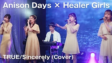 松澤由美 Anison Days Mp3 松澤由美 Anison Days Mp3