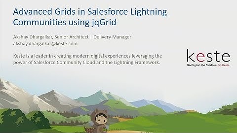 Advanced Grids in Salesforce Lightning Communities Using jqGrid