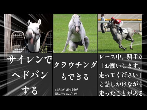ゴールドシップの伝説まとめPart2【比較】【ランキング】