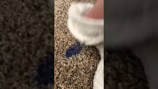 howto remove nail polish from your carpet shorts