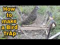 HOW TO MAKE A BIRD TRAP  Using Thread for Bird Trap| Toto Tv