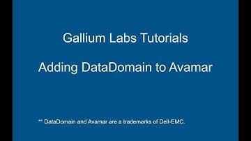 Adding DataDomain to Avamar