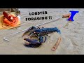 LOBSTER FORAGING - Grilled Lobster with Garlic Butter & Spices ! COASTAL FORAGING in Bad Weather !