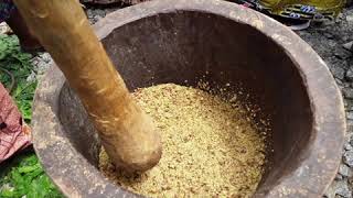 How to produce neem oil locally by extracting it from neem tree fruit