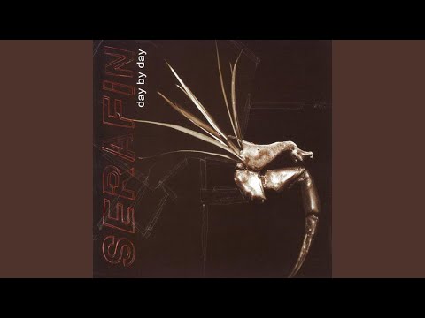 Keep It Away Video