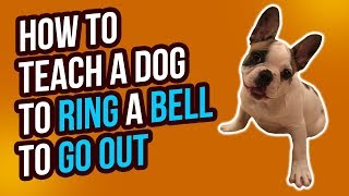 HOW TO TEACH A DOG TO RING A BELL TO GO OUTSIDE