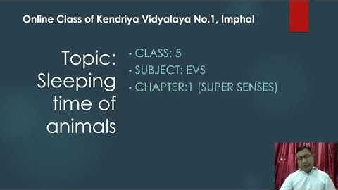 Class 5 EVS Chapter 1 Super Senses Module 5 (Part 2)- Sleeping time of animals,