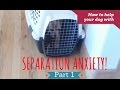 How to Help your Dog Overcome Separation Anxiety - part 1 How to Help your Dog Overcome Separation Anxiety - part 1